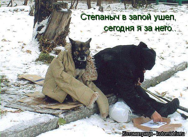 Котоматрица: Степаныч в запой ушел, сегодня я за него..