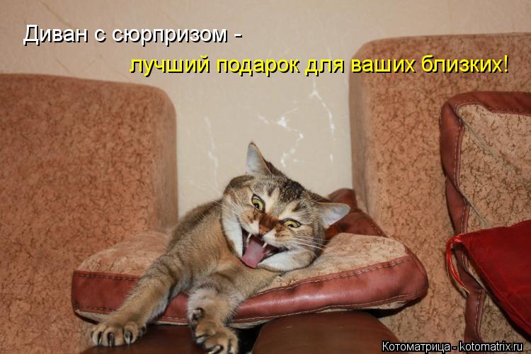 Котоматрица: Диван с сюрпризом -  лучший подарок для ваших близких!