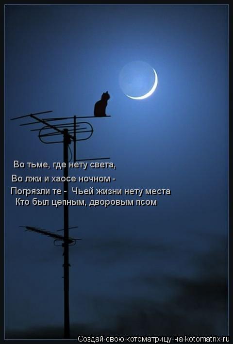Котоматрица: Во тьме, где нету света,  Во лжи и хаосе ночном -  Погрязли те -  Чьей жизни нету места  Кто был цепным, дворовым псом
