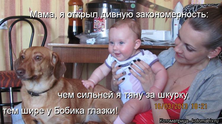 Котоматрица: Мама, я открыл дивную закономерность: чем сильней я тяну за шкурку, тем шире у Бобика глазки!