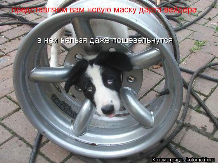 Котоматрица: представляем вам новую маску дарта вейдера  в ней нельзя даже пошевельнутся