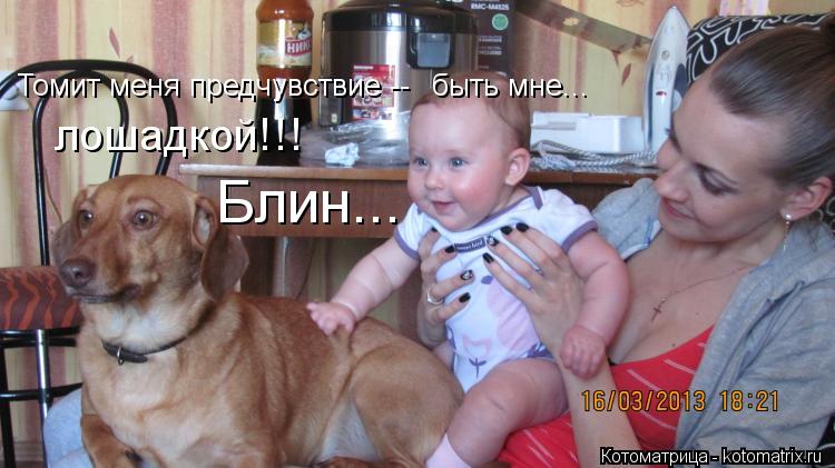 Котоматрица: Томит меня предчувствие -- быть мне... лошадкой!!!  Блин...