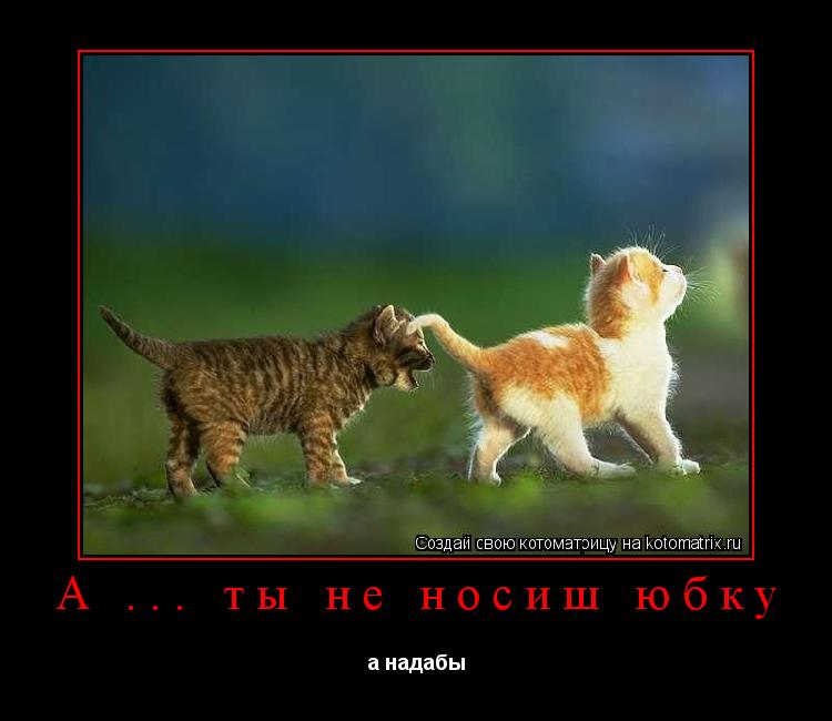 Котоматрица: А ... ты не носиш юбку а надабы