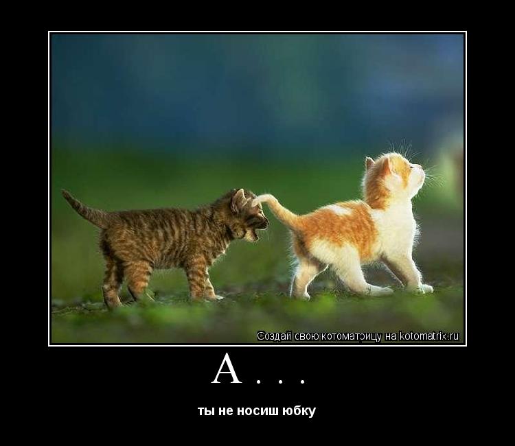 Котоматрица: А... ты не носиш юбку