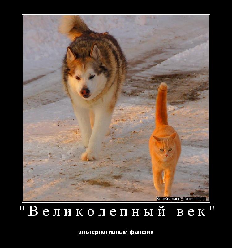 Котоматрица: "Великолепный век" альтернативный фанфик