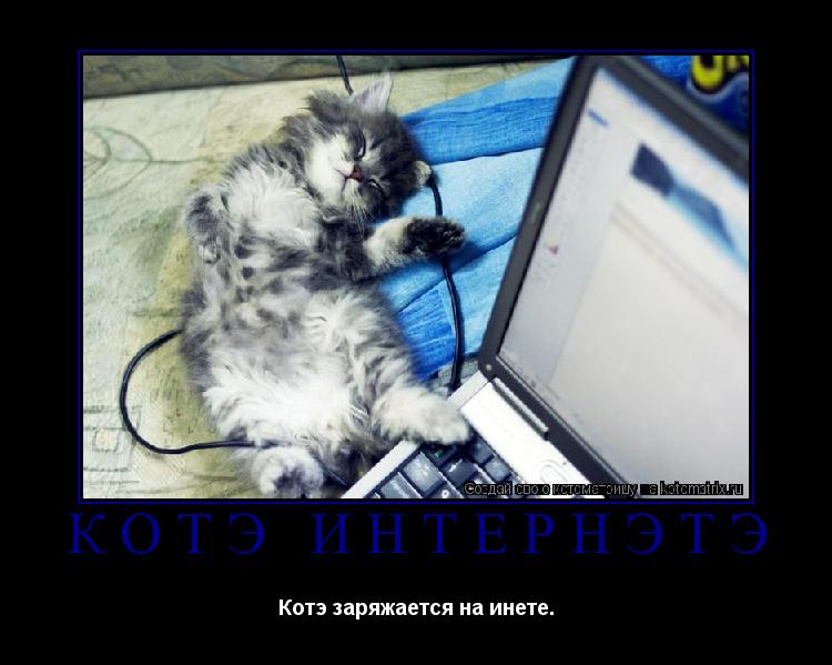 Котоматрица: КОТЭ ИНТЕРНЭТЭ Котэ заряжается на инете.