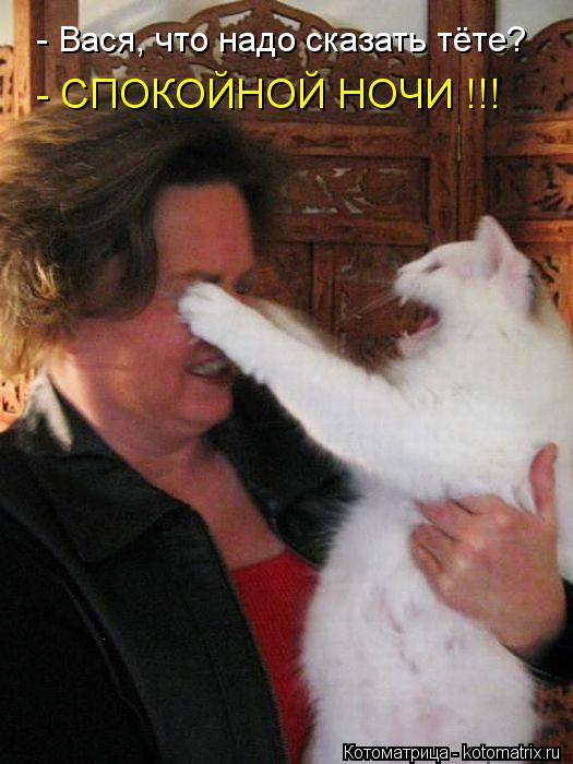 - Вася, что надо сказать тёте? - СПОКОЙНОЙ НОЧИ !!!... Котоматрица: - Вася, что надо сказать тёте? - СПОКОЙНОЙ НОЧИ !!!