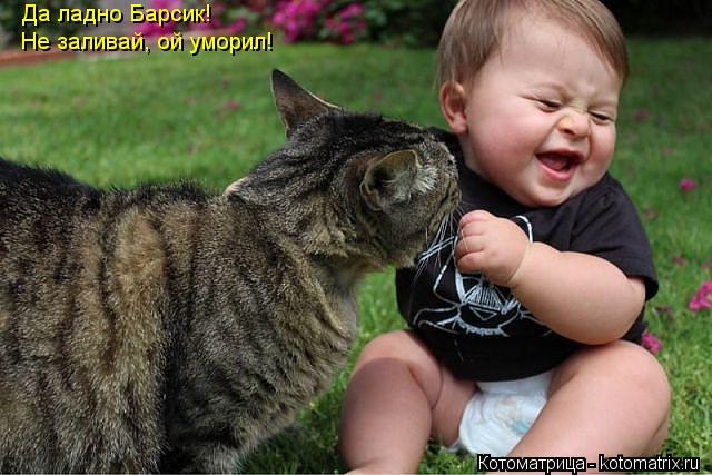 Котоматрица: Да ладно Барсик! Не заливай, ой уморил!
