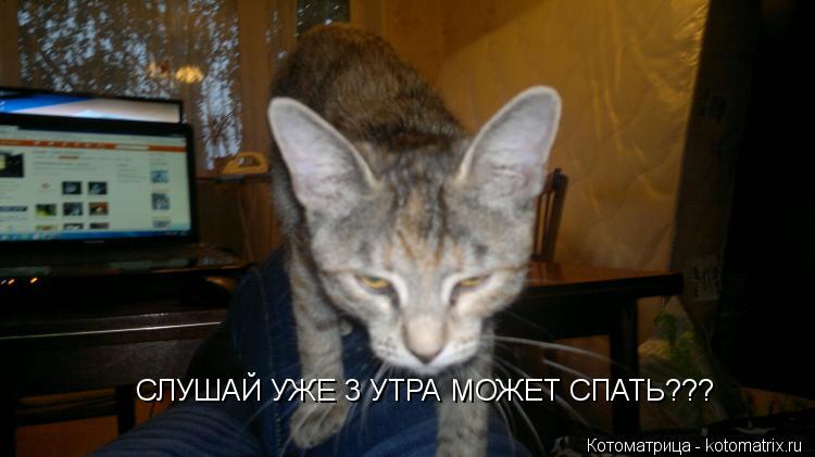 Котоматрица: СЛУШАЙ УЖЕ 3 УТРА МОЖЕТ СПАТЬ???