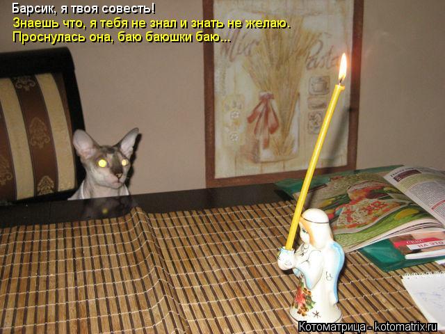 Котоматрица: Барсик, я твоя совесть! Знаешь что, я тебя не знал и знать не желаю. Проснулась она, баю баюшки баю...