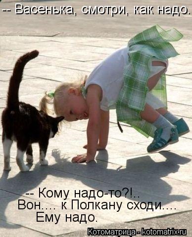 Котоматрица: -- Кому надо-то?!.. -- Васенька, смотри, как надо... Вон.... к Полкану сходи.... Ему надо.