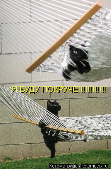 Котоматрица: Я БУДУ ПОКРУЧЕ!!!!!!!!!!!!