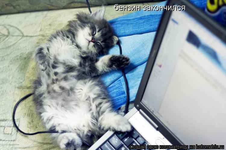 Котоматрица: бензин закончился