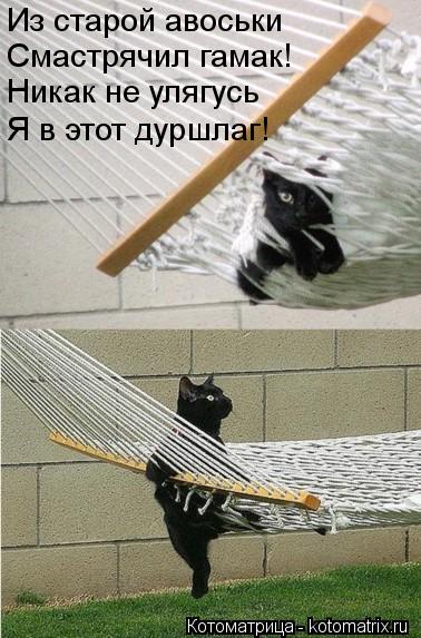 Котоматрица: Из старой авоськи Смастрячил гамак! Никак не улягусь Я в этот дуршлаг!