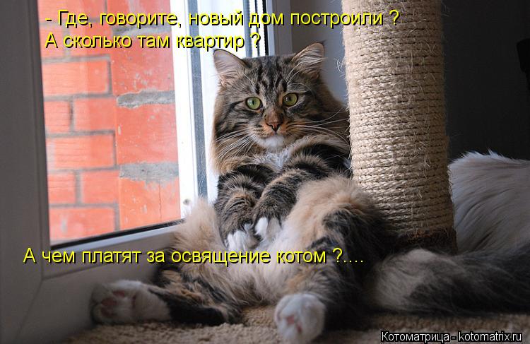 Котоматрица: - Где, говорите, новый дом построили ? А сколько там квартир ? А чем платят за освящение котом ?....