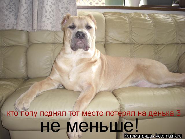 Котоматрица: кто попу поднял тот место потерял на денька 3 не меньше!