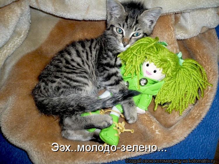 Котоматрица: Ээх..молодо-зелено...