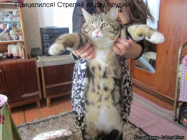 Котоматрица: Прицелился! Стреляй из дву орудий!