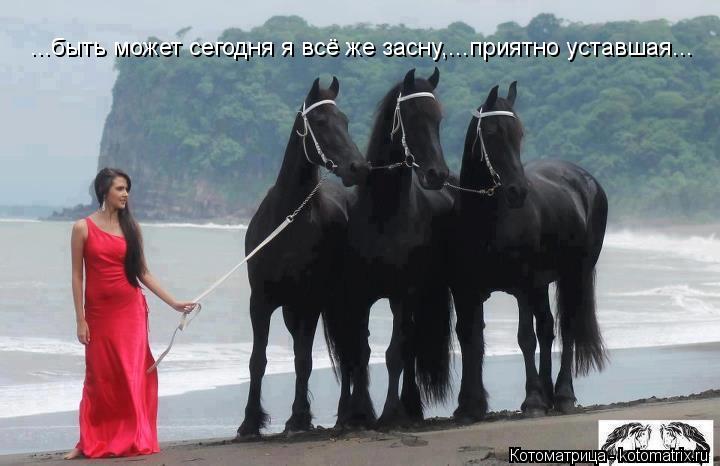 Котоматрица: ...быть может сегодня я всё же засну,...приятно уставшая...