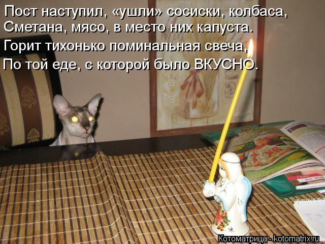 Пост наступил, «ушли» сосиски, колбаса, Сметана, мясо, в место них капуста. Горит тихонько поминальн... Котоматрица: Пост наступил, «ушли» сосиски, колбаса, Сметана, мясо, в место них капуста. Горит тихонько поминальная свеча, По той еде, с которой было ВКУС