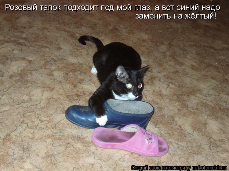 Котоматрица: Розовый тапок подходит под мой глаз, а вот синий надо заменить на жёлтый!