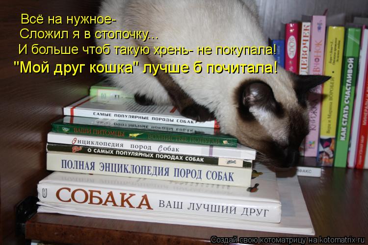 Котоматрица: Всё на нужное- Сложил я в стопочку... И больше чтоб такую хрень- не покупала! "Мой друг кошка" лучше б почитала!