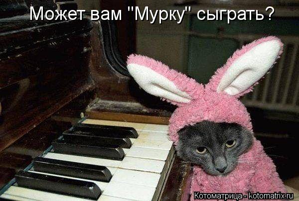 Котоматрица: Может вам "Мурку" сыграть?