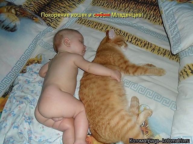 Котоматрица: Покорение кошек и собак! Младенцев! __