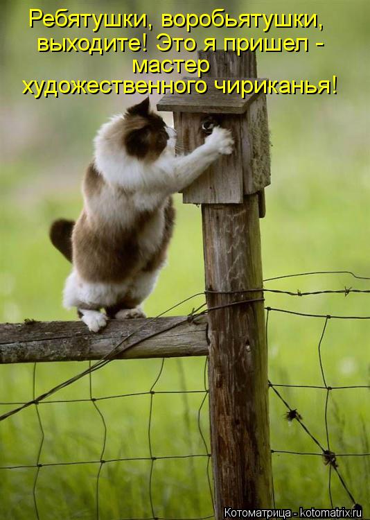Котоматрица: Ребятушки, воробьятушки,  выходите! Это я пришел - мастер  художественного чириканья!