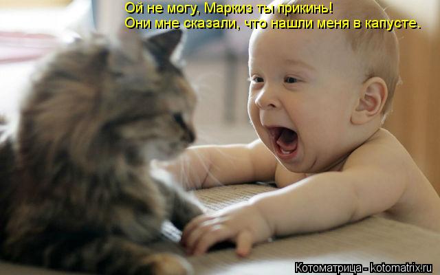Котоматрица: Ой не могу, Маркиз ты прикинь!  Они мне сказали, что нашли меня в капусте.