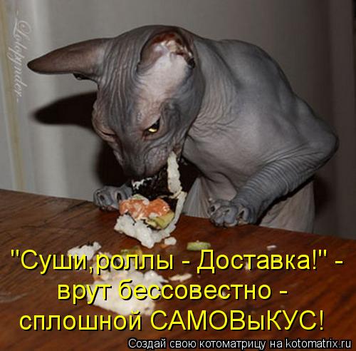 Котоматрица: "Суши,роллы - Доставка!" -  врут бессовестно -  сплошной САМОВыКУС!