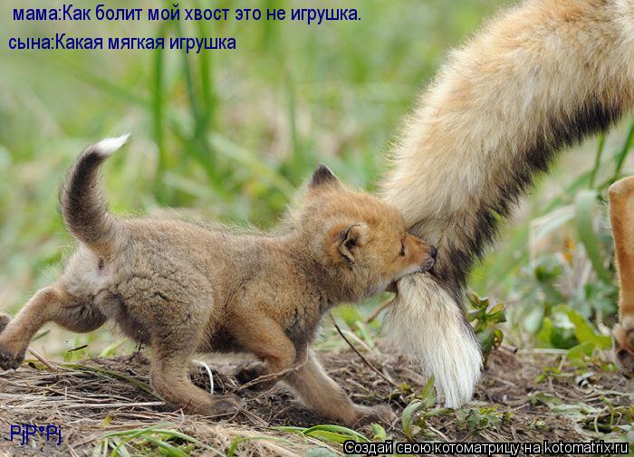 Котоматрица: мама:Как болит мой хвост это не игрушка. РјР°Рј сына:Какая мягкая игрушка