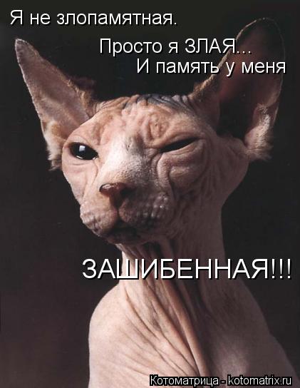 Котоматрица: Я не злопамятная. Просто я ЗЛАЯ... И память у меня ЗАШИБЕННАЯ!!!