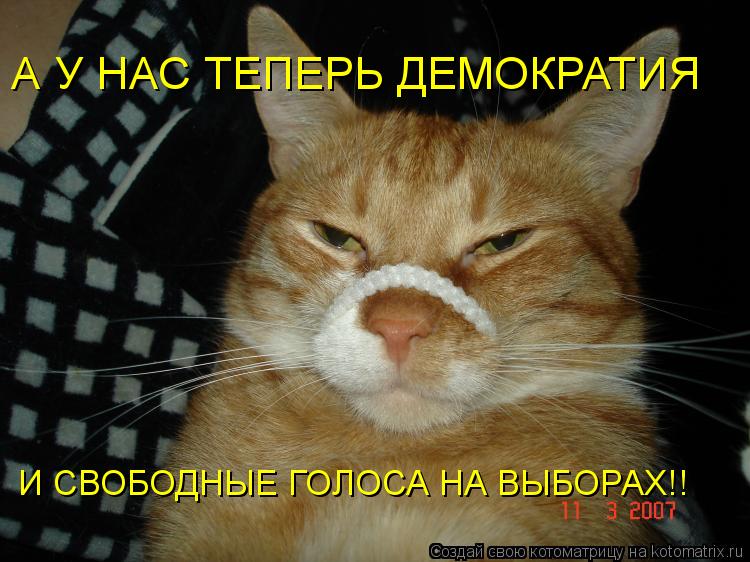 Котоматрица: А У НАС ТЕПЕРЬ ДЕМОКРАТИЯ  И СВОБОДНЫЕ ГОЛОСА НА ВЫБОРАХ!!