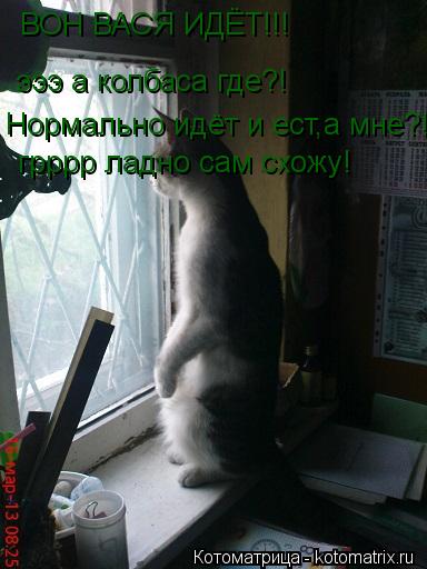 Котоматрица: ВОН ВАСЯ ИДЁТ!!! эээ а колбаса где?! Нормально идёт и ест,а мне?! грррр ладно сам схожу!