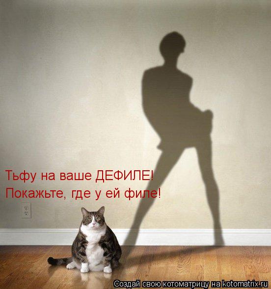 Котоматрица: Тьфу на ваше ДЕФИЛЕ! Покажьте, где у ей филе!