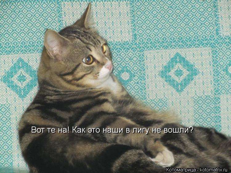 Котоматрица: Вот те на! Как это наши в лигу не вошли?