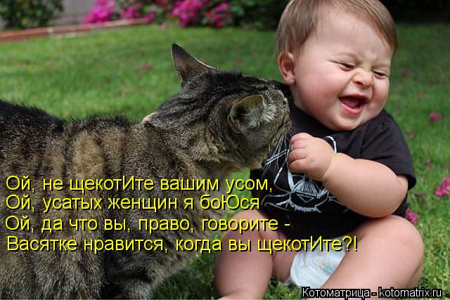 Котоматрица: Ой, не щекотИте вашим усом,  Ой, усатых женщин я боЮся  Ой, да что вы, право, говорите -  Васятке нравится, когда вы щекотИте?!