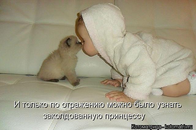Котоматрица: И только по отражению можно было узнать заколдованную принцессу
