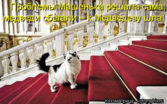Котоматрица: Проблемы Машенька решала сама; медведи сбегали – к Медведеву шла!