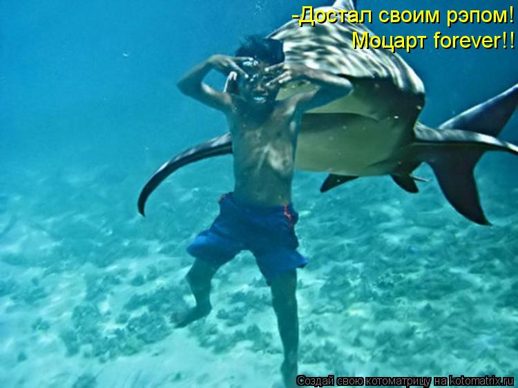 Котоматрица: -Достал своим рэпом! Моцарт forever!!