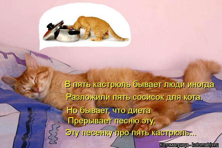 Котоматрица: В пять кастрюль бывает люди иногда Разложили пять сосисок для кота. Но бывает, что диета Прерывает песню эту, Эту песенку про пять кастрюль..