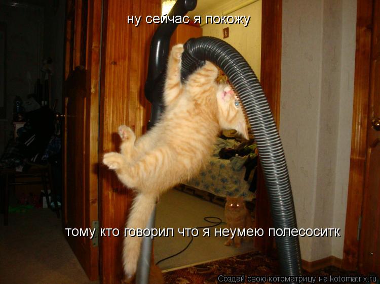Котоматрица: ну сейчас я погожу тому ктоговорил что я неумею полесосить ну сейчас я покожу  тому кто говорил что я неумею полесоситк