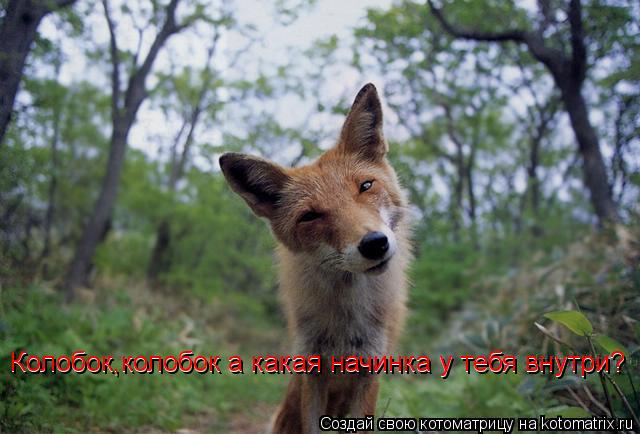 Котоматрица: Колобок,колобок а какая начинка у тебя внутри? Колобок,колобок а какая начинка у тебя внутри?