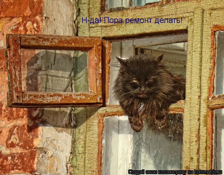 Котоматрица: Н-да! Пора ремонт делать!