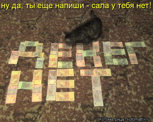 Котоматрица: ну да, ты еще напиши - сала у тебя нет!