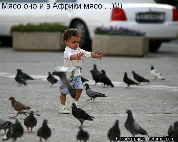 Котоматрица: Мясо оно и в Африки мясо ...))))