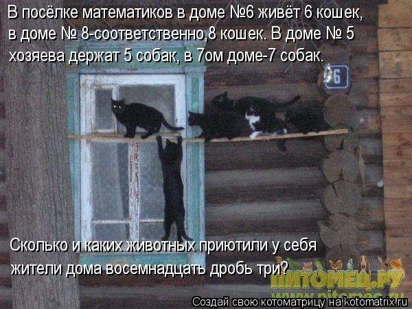 Котоматрица: Сколько и каких животных приютили у себя В посёлке математиков в доме №6 живёт 6 кошек, в доме № 8-соответственно,8 кошек. В доме № 5 хозяева д