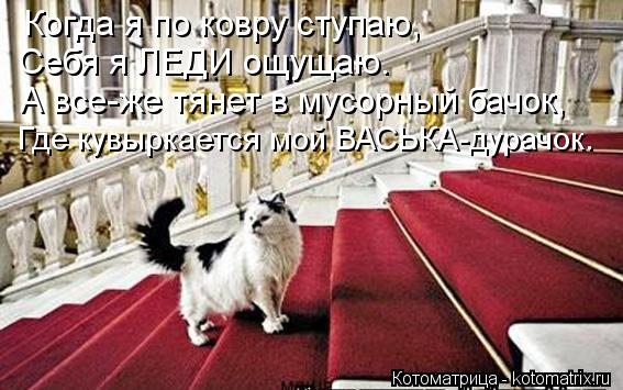 Котоматрица: Когда я по ковру ступаю,  Себя я ЛЕДИ ощущаю. А все-же тянет в мусорный бачок, Где кувыркается мой ВАСЬКА-дурачок.