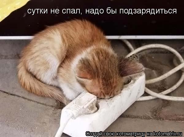 Котоматрица: сутки не спал, надо бы подзарядиться